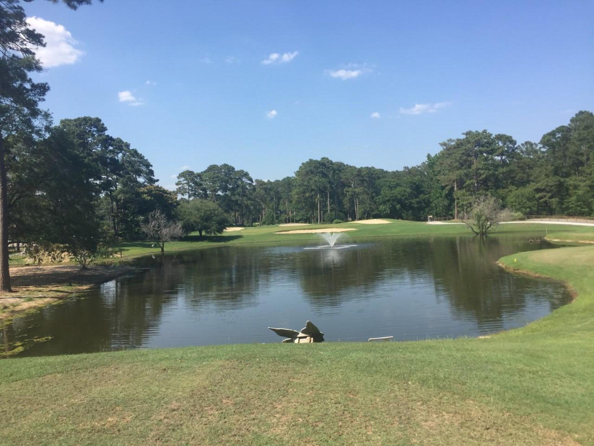 (Photo submitted by JackStraw6 on 05/28/2019)