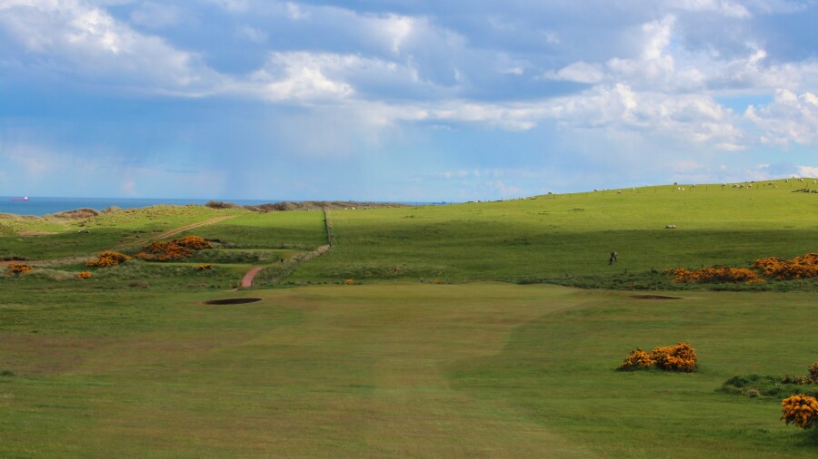 Newburgh-On-Ythan Golf Club - 5th