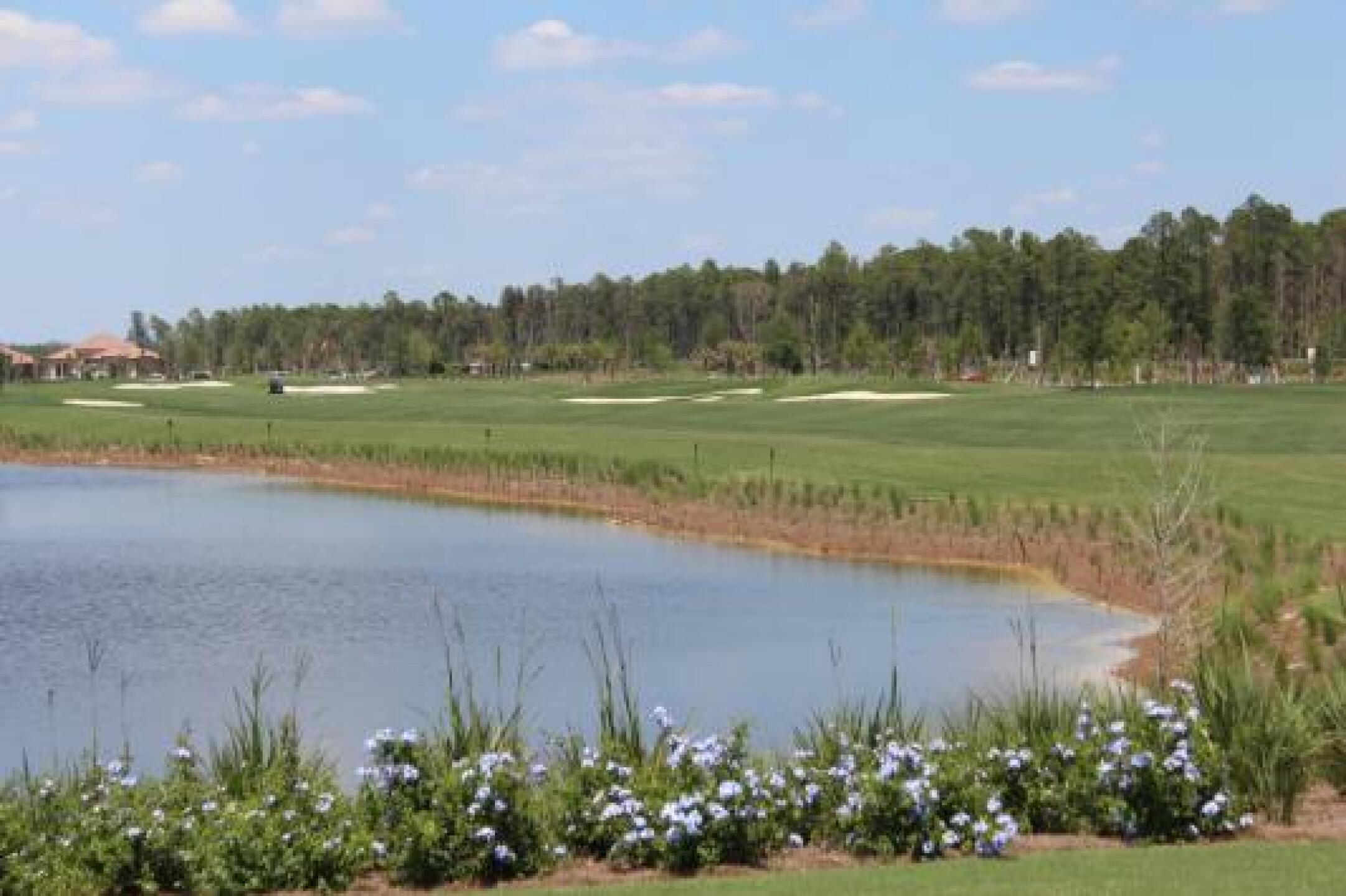 (Photo submitted by null on 05/09/2014)