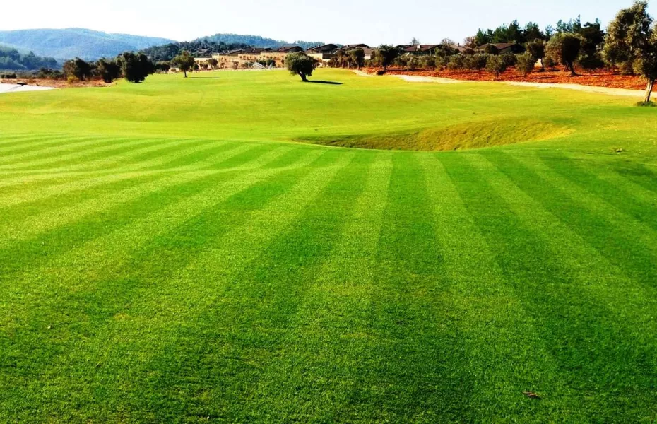 Regnum GCC Bodrum