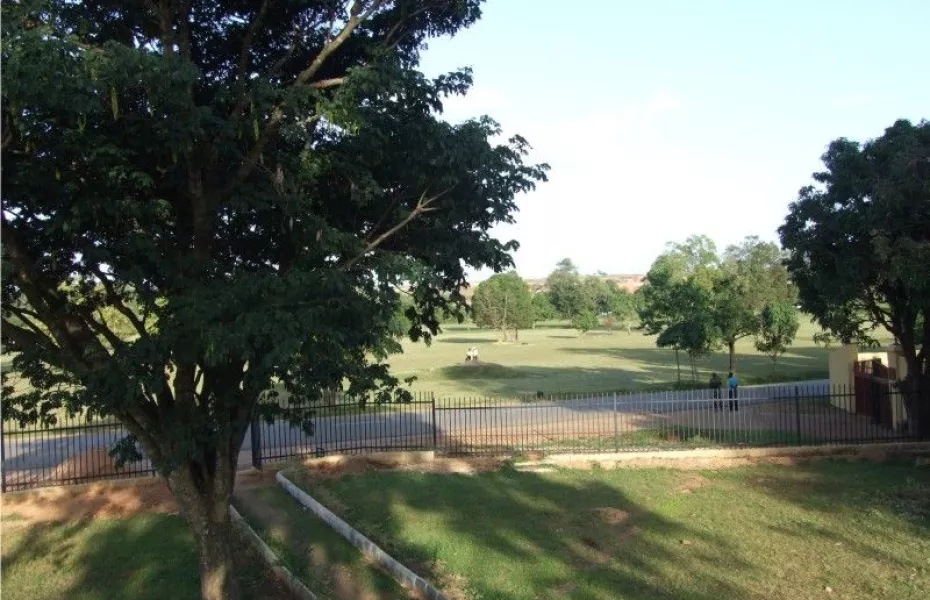 Rayfield GC: #10