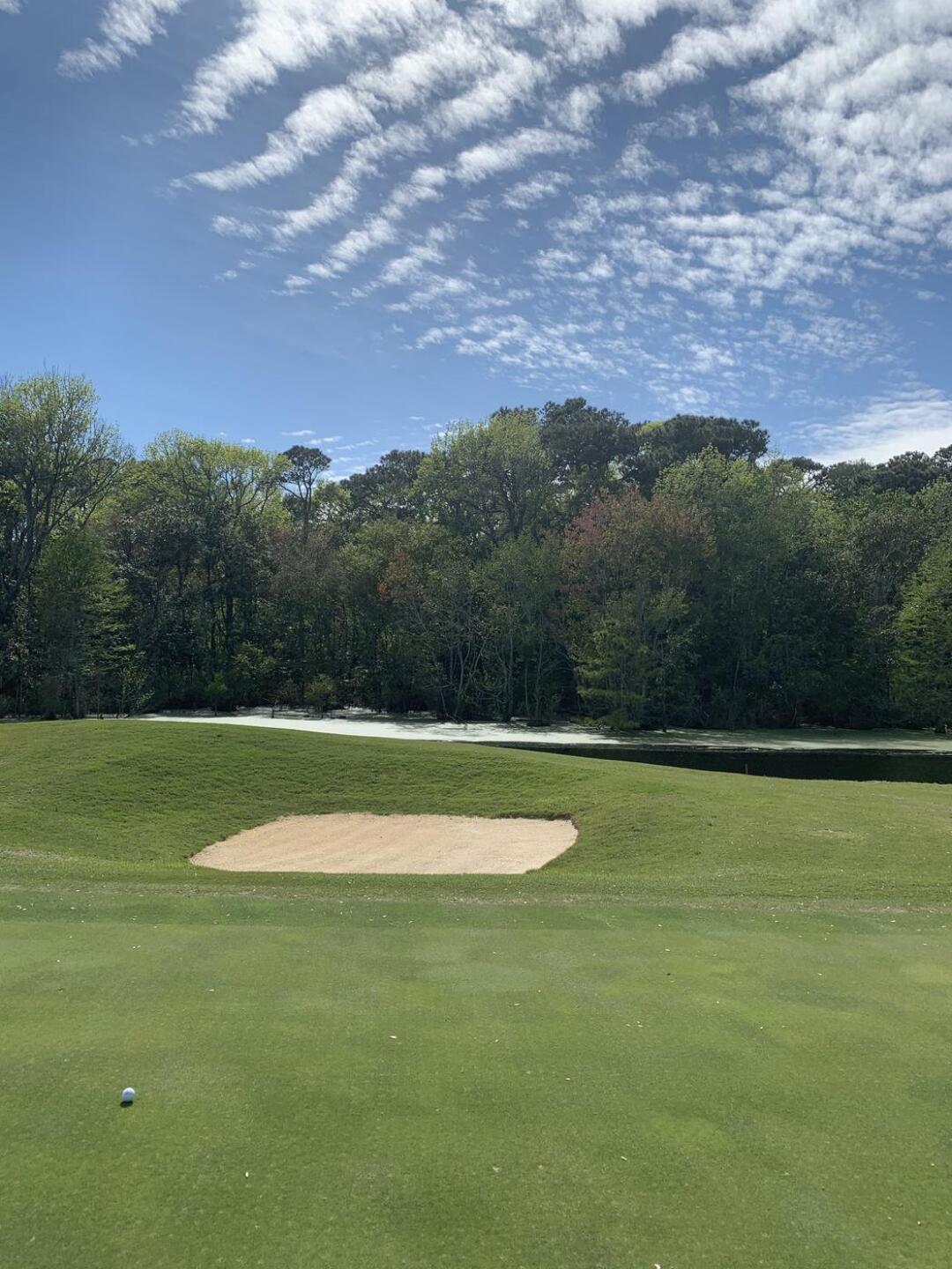 (Photo submitted by jeffdodson on 04/19/2021)