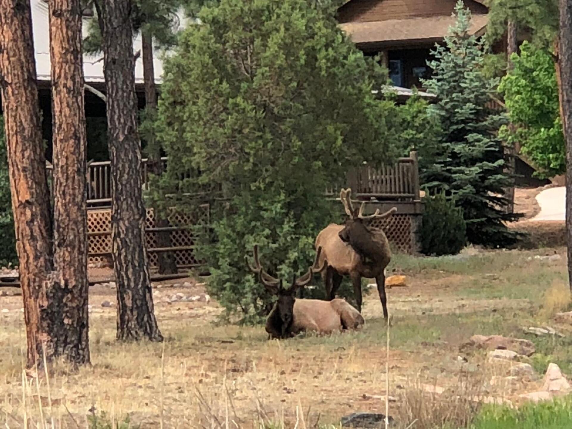 Nice gallery. (Photo submitted by u000003528786 on 06/30/2018)