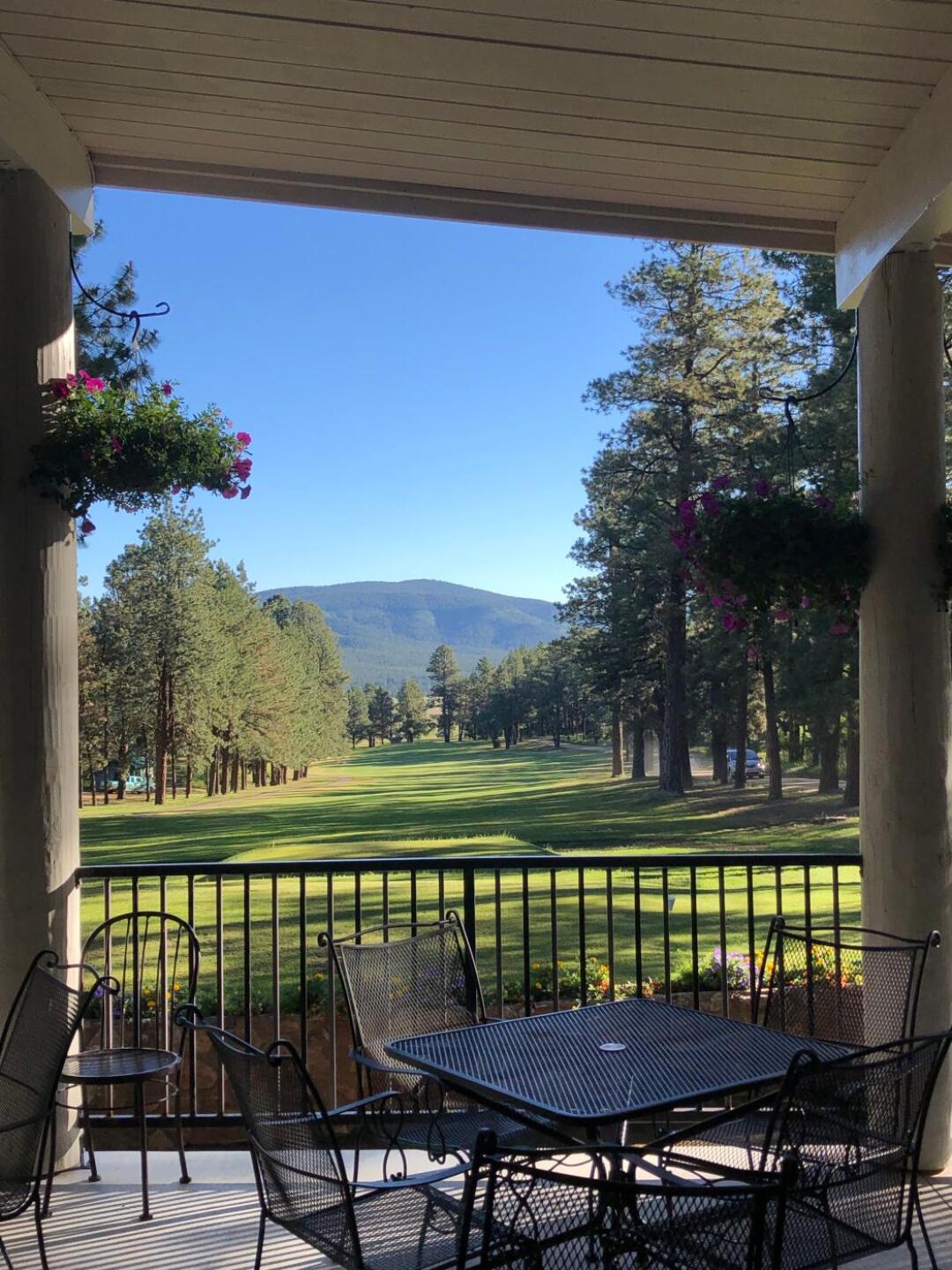 (Photo submitted by Darlisnace on 07/09/2019)