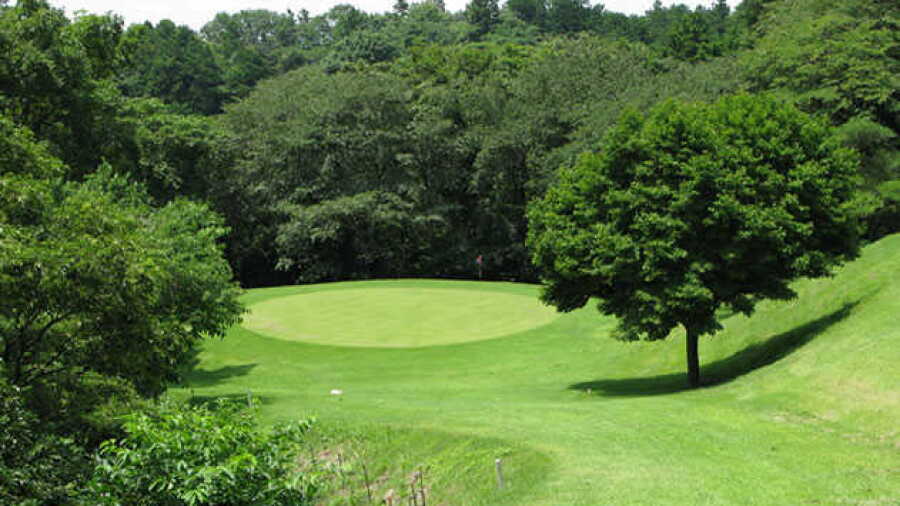 Yugawara CC - Short