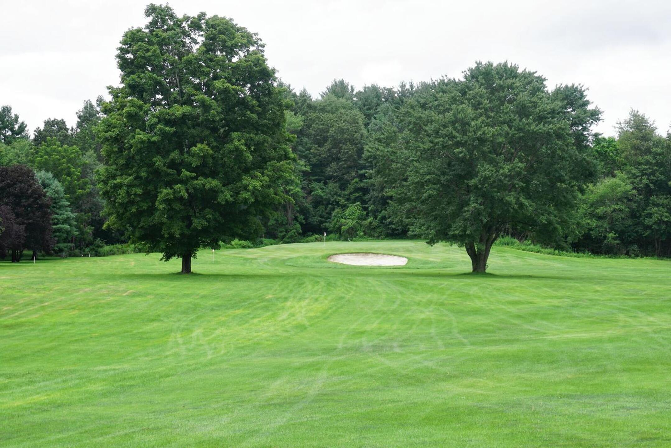 The trees aren’t much help at the par-5 third when approaching from the left. (Photo submitted by AptlyLinked on 07/21/2021)