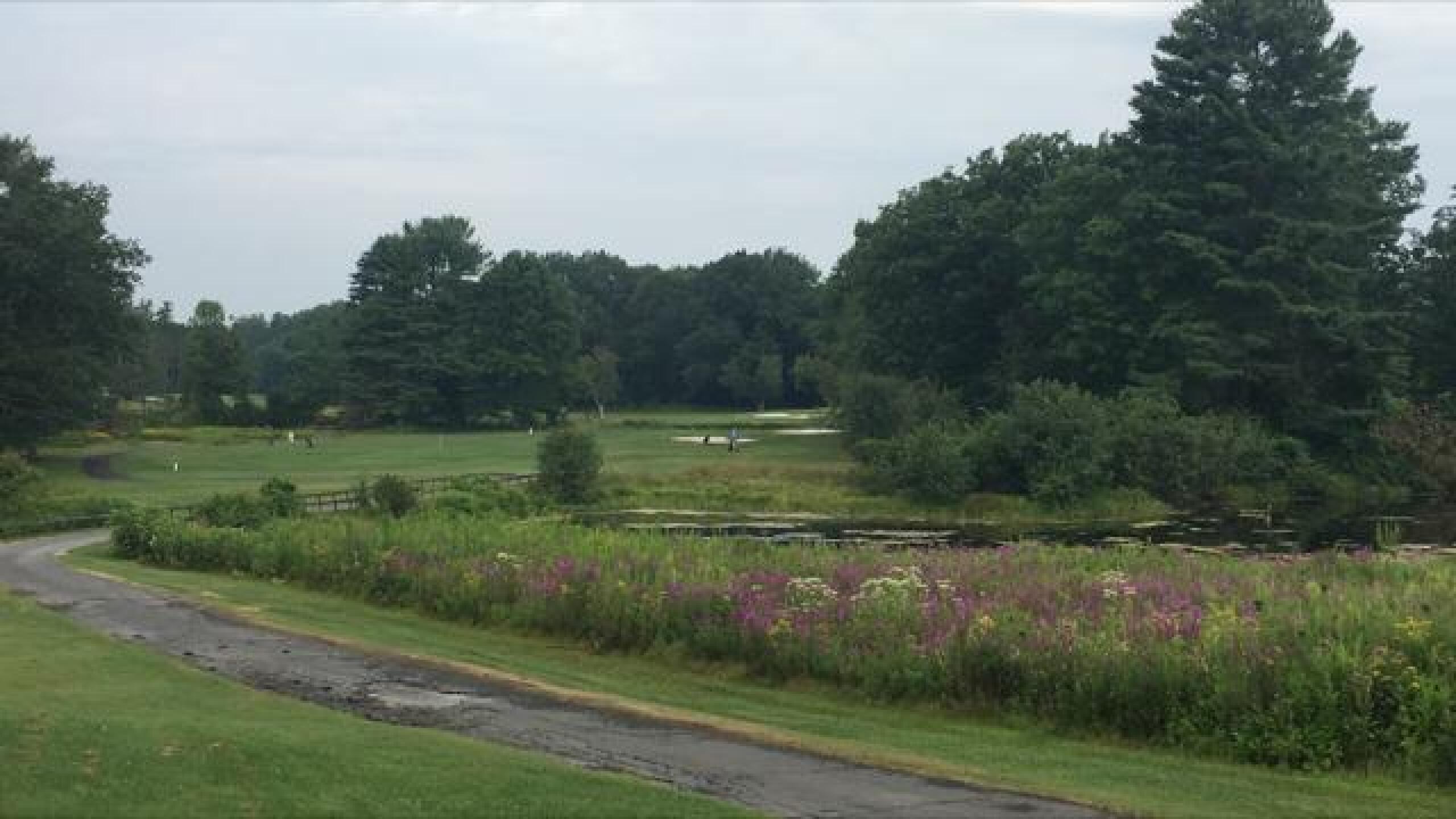 (Photo submitted by LICC on 08/14/2017)