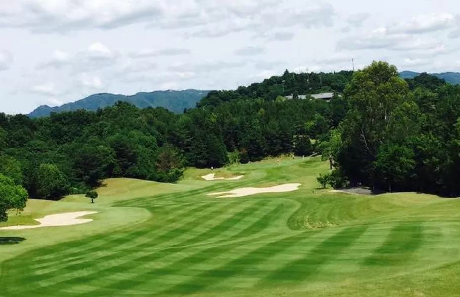 Shin-Ichi Classic GC