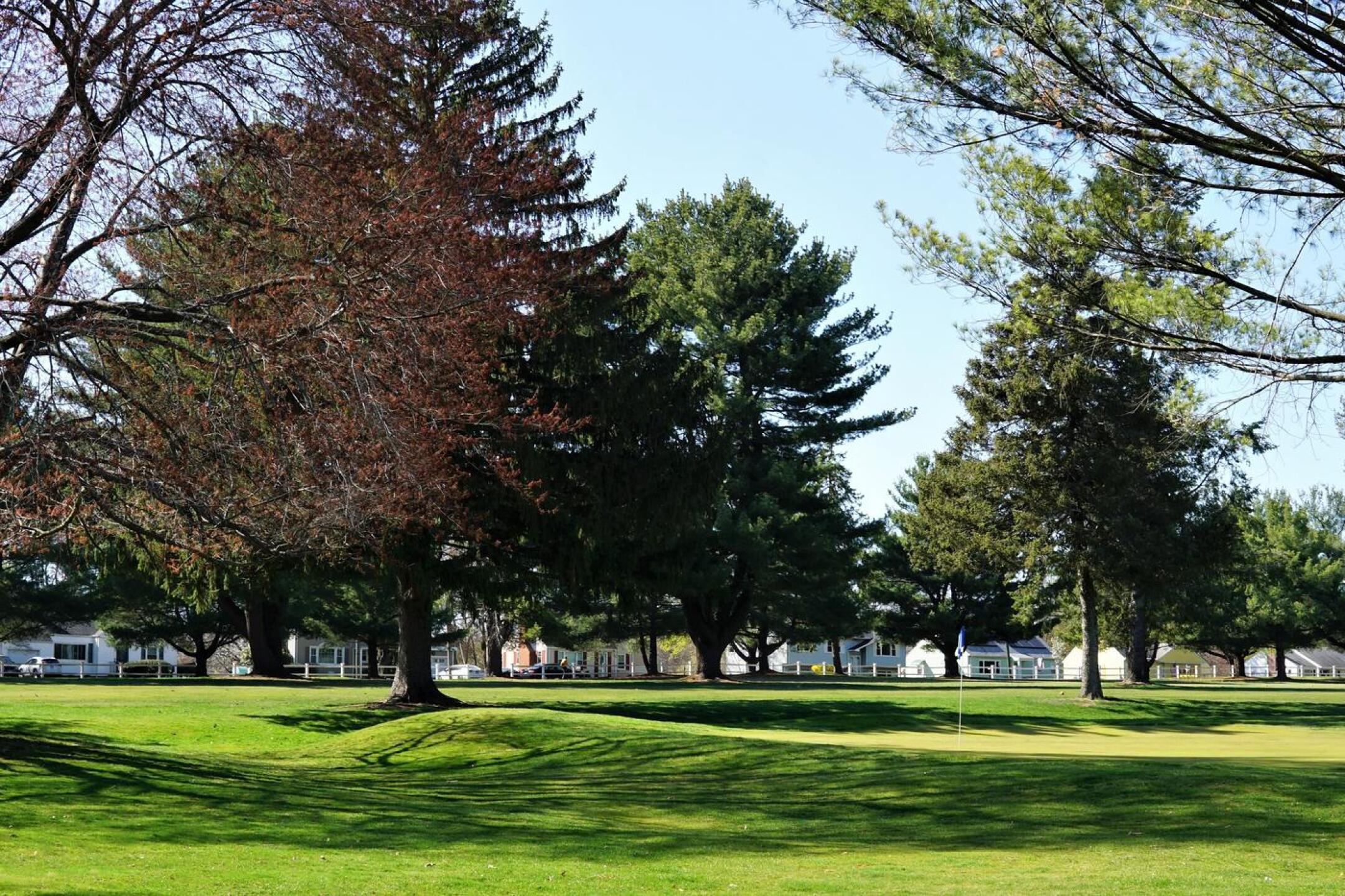 Green sixteen in the late-afternoon shadows; beyond lies the first fairway. (Photo submitted by AptlyLinked on 04/14/2023)