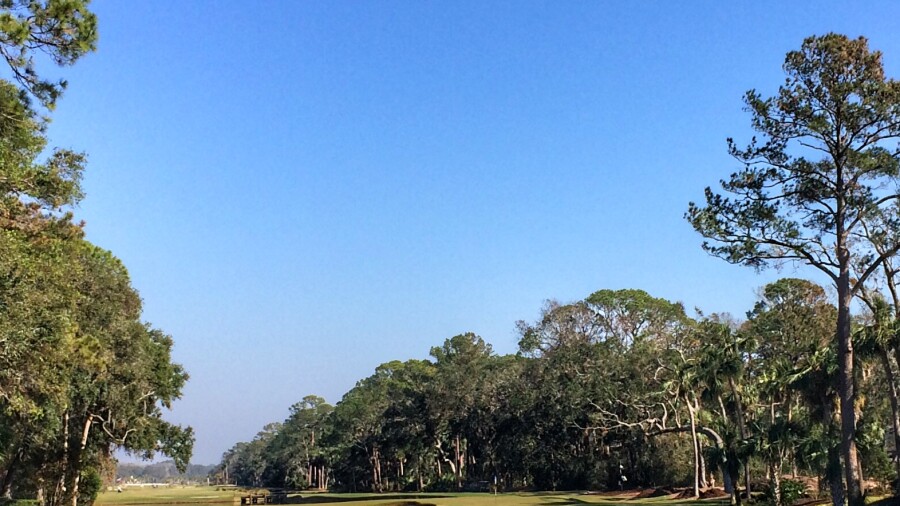 Sea Pines Resort - Atlantic Dunes golf course - 16th green