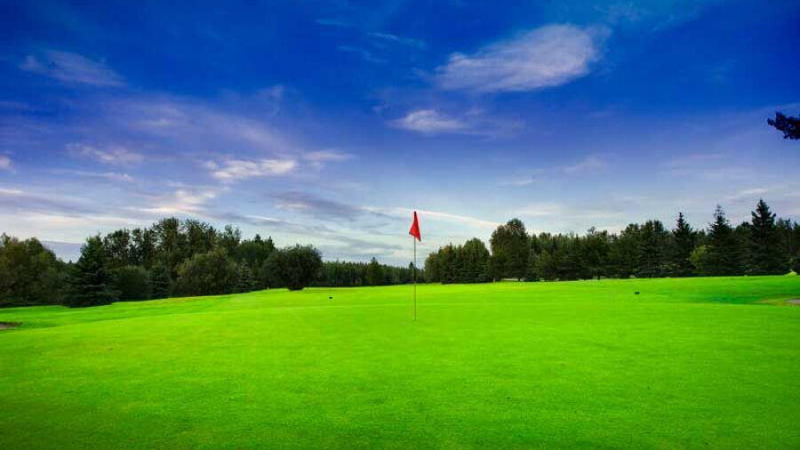 Pineridge Golf Resort: #9