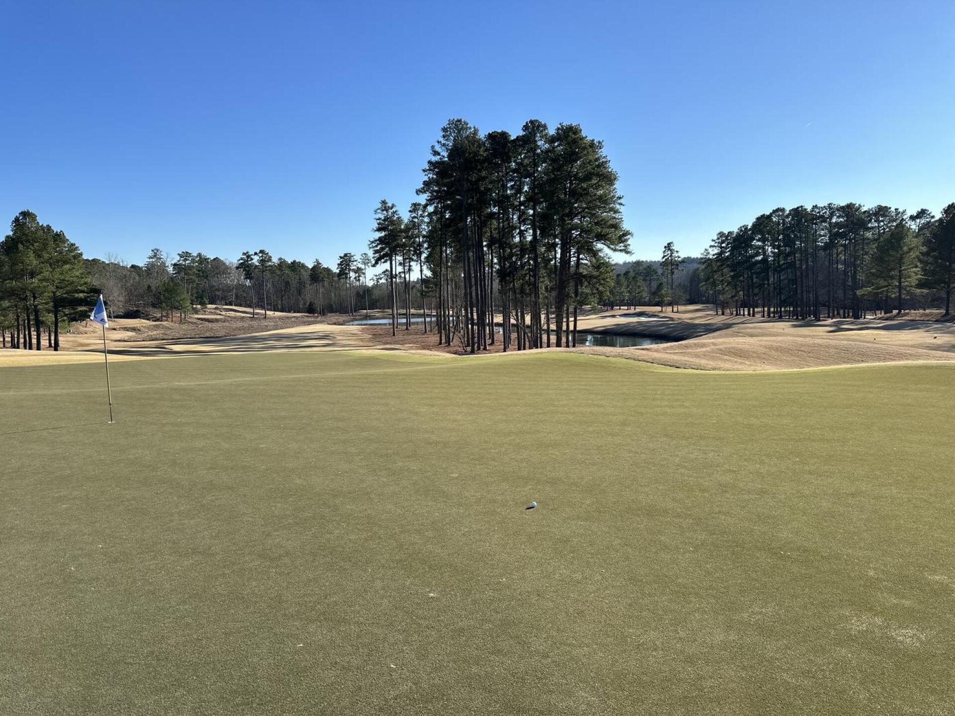 (Photo submitted by agmaghirang on 02/03/2024)