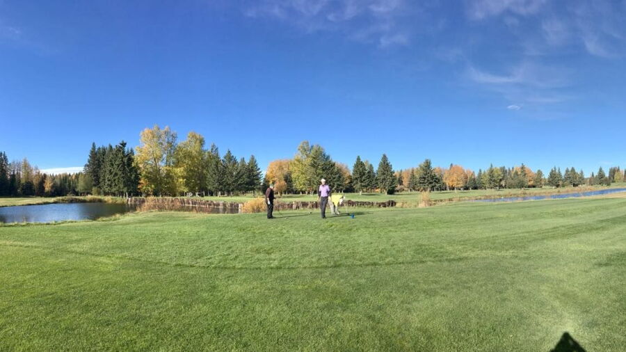 Edson GCC