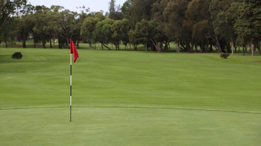 Green at Cronulla