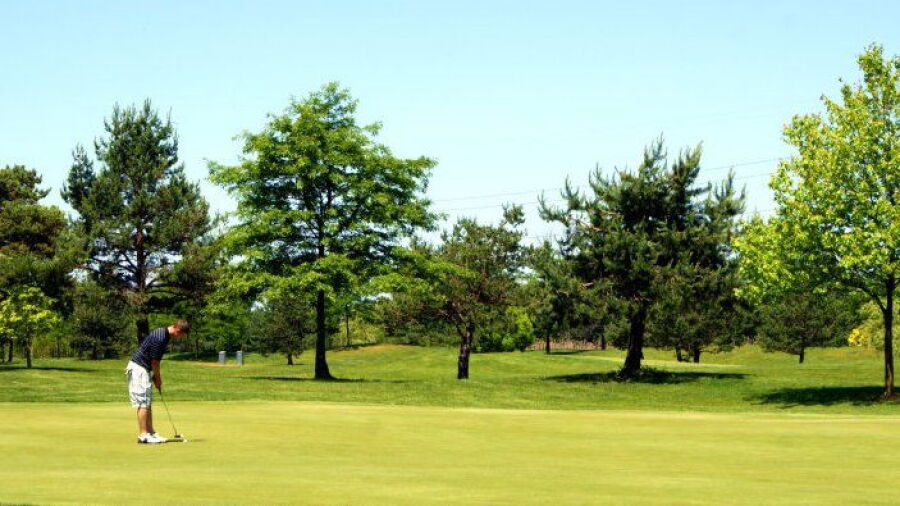Golden Hawk GC