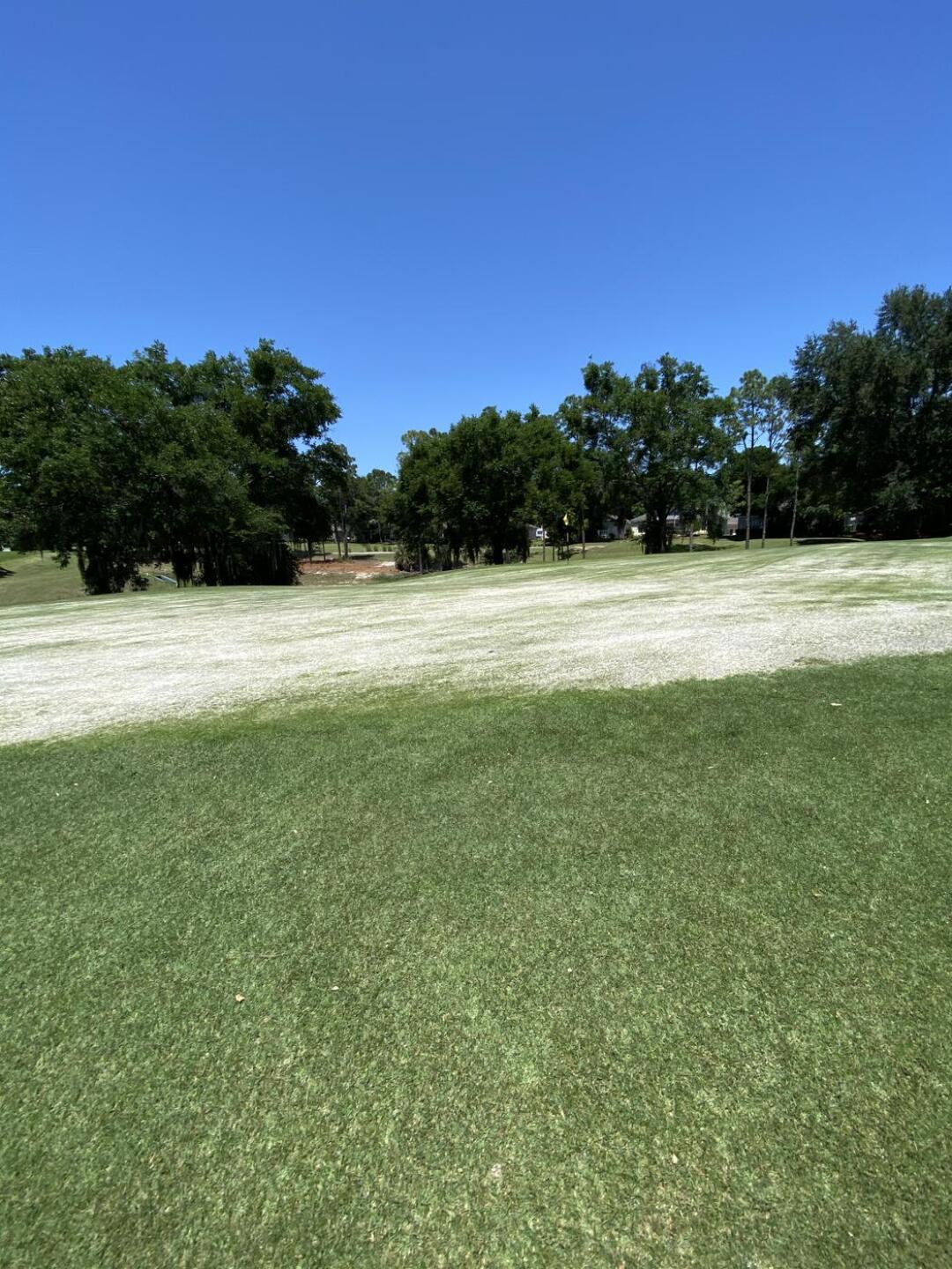 (Photo submitted by doucherbagger on 04/22/2021)