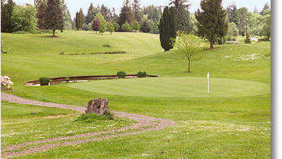 St Helen's #8
