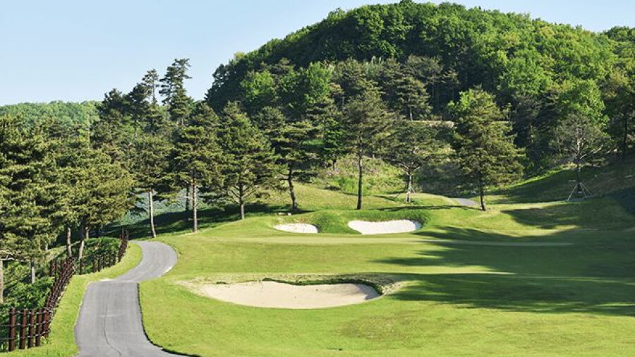 Eaglemont CC - Eagle