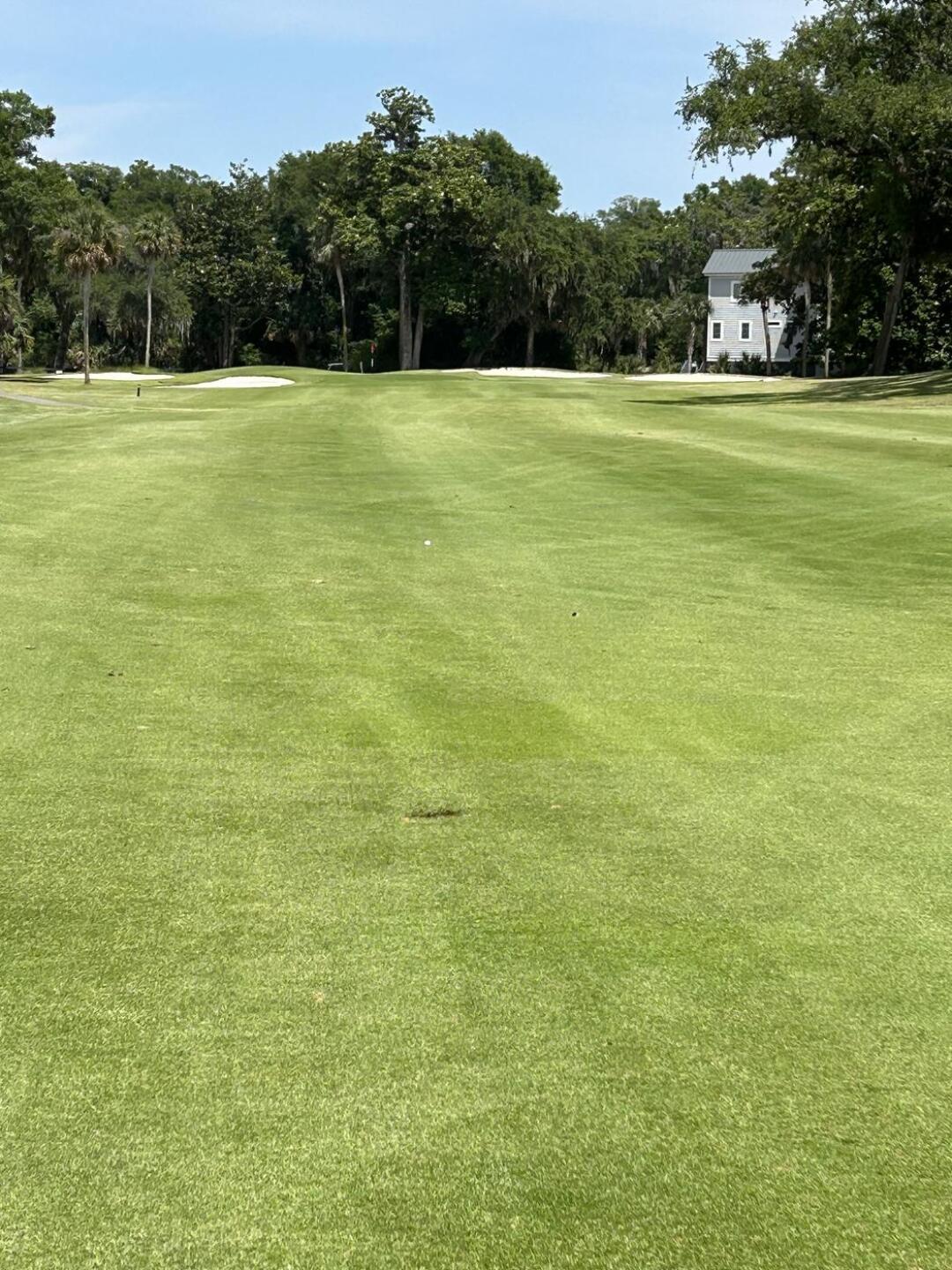 (Photo submitted by adaberne7 on 06/17/2023)