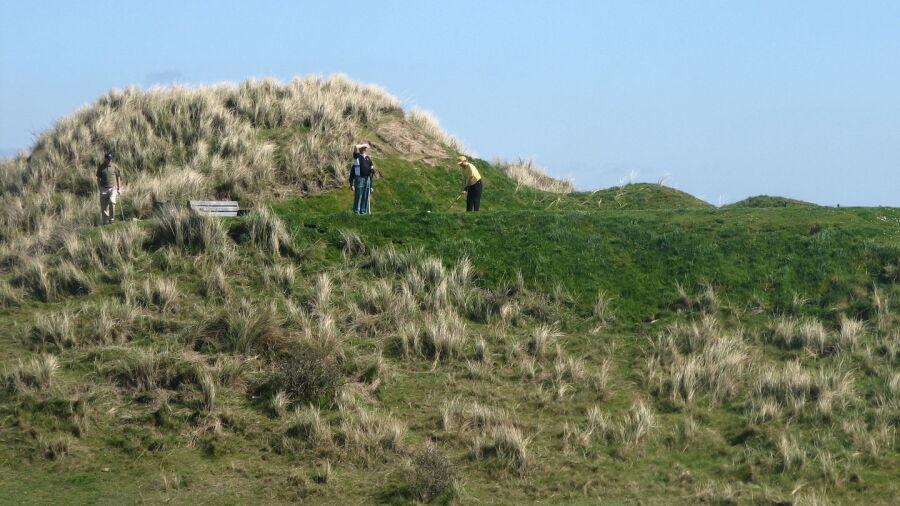 Laytown and Bettystown GC: #12