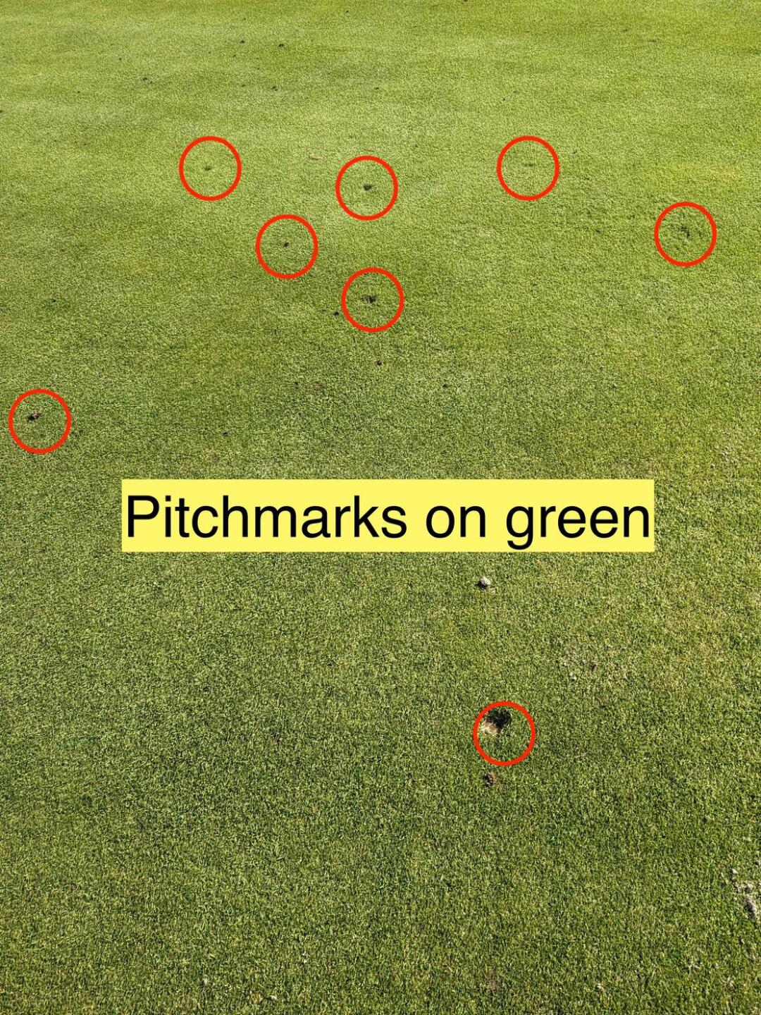 (Photo submitted by u454909756 on 02/08/2024)