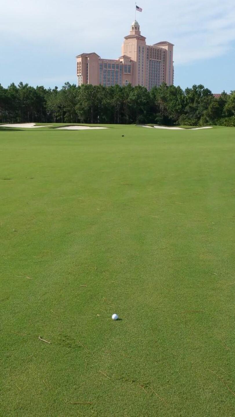 (Photo submitted by Shawn5932249 on 07/22/2015)