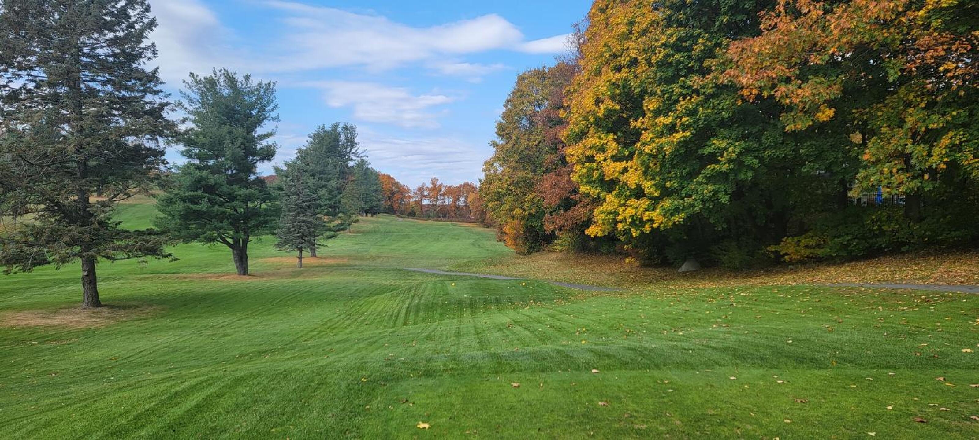 #8 (Photo submitted by dpolombo on 10/25/2024)