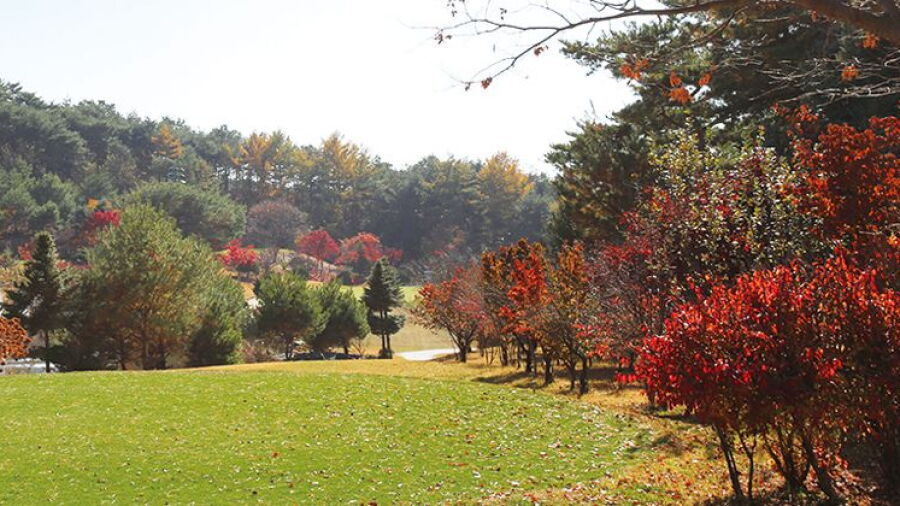 Hantan River CC