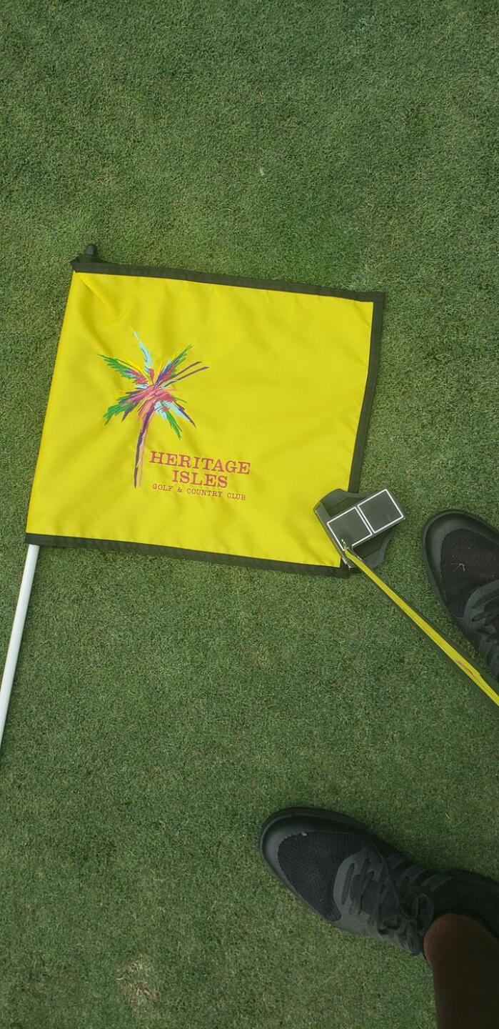 The greens are in terrible shape. (Photo submitted by KingOsi on 01/20/2020)