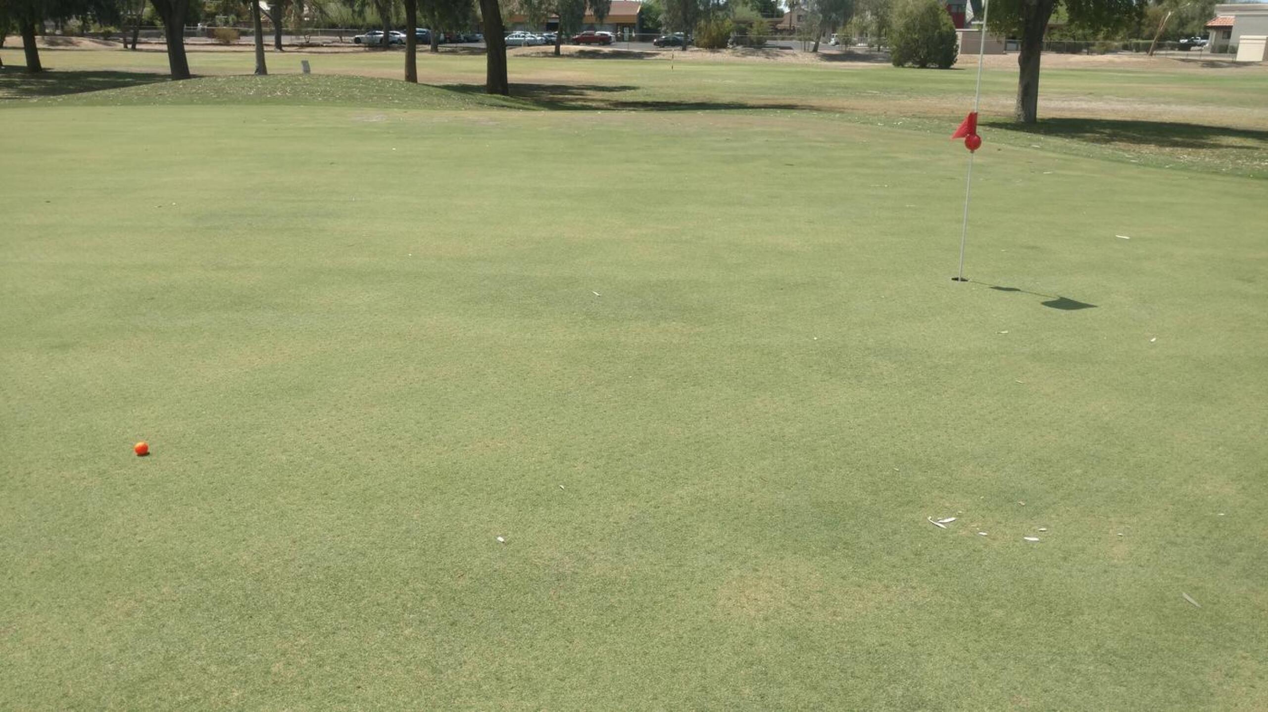 (Photo submitted by speerman99 on 07/05/2018)