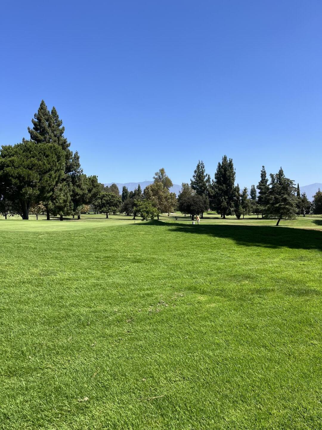 great mountain view! (Photo submitted by u018507495 on 08/23/2024)