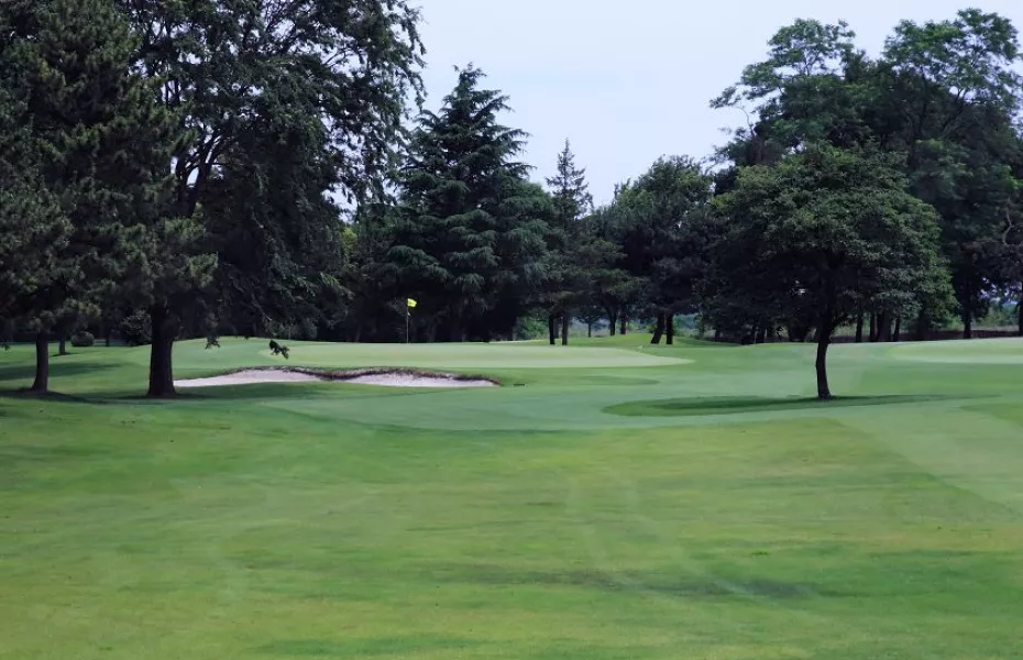 Shin-Tamamura GC: #14