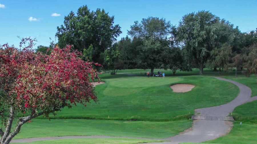 Webster GC