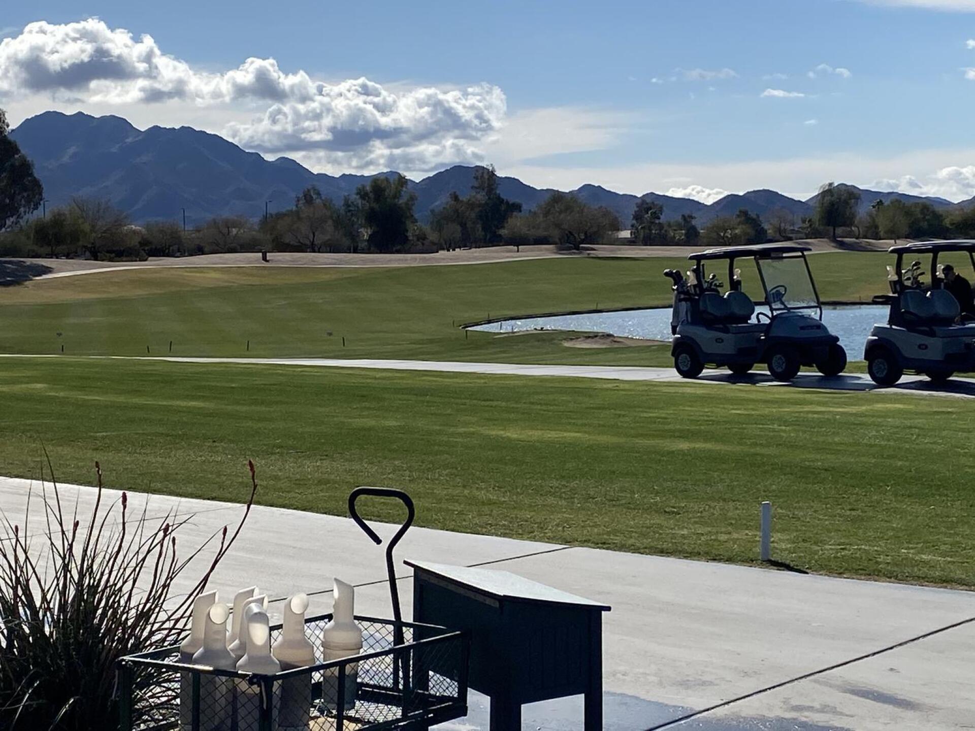 Initial view (Photo submitted by pegfeltner on 03/13/2021)