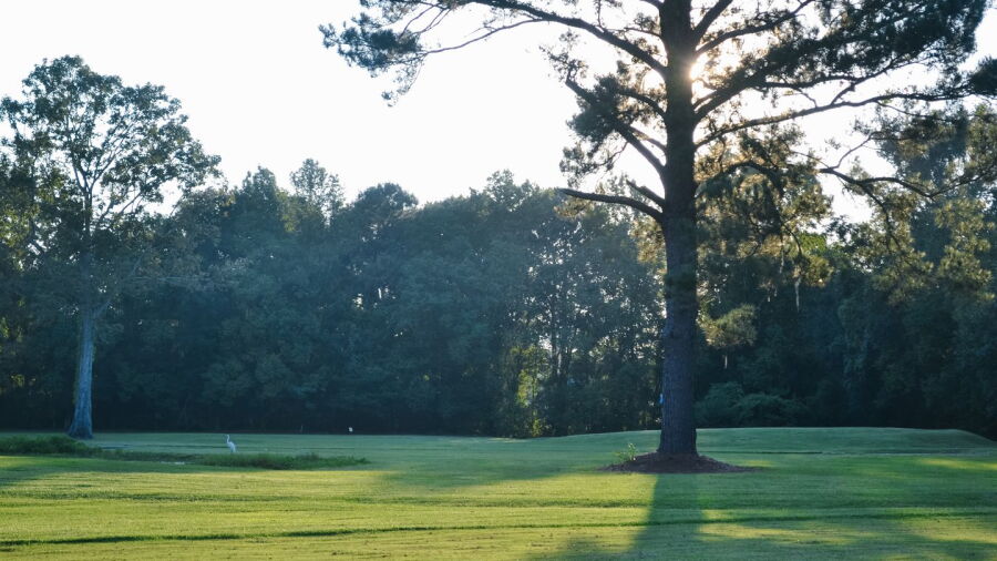 The Pines at North Park