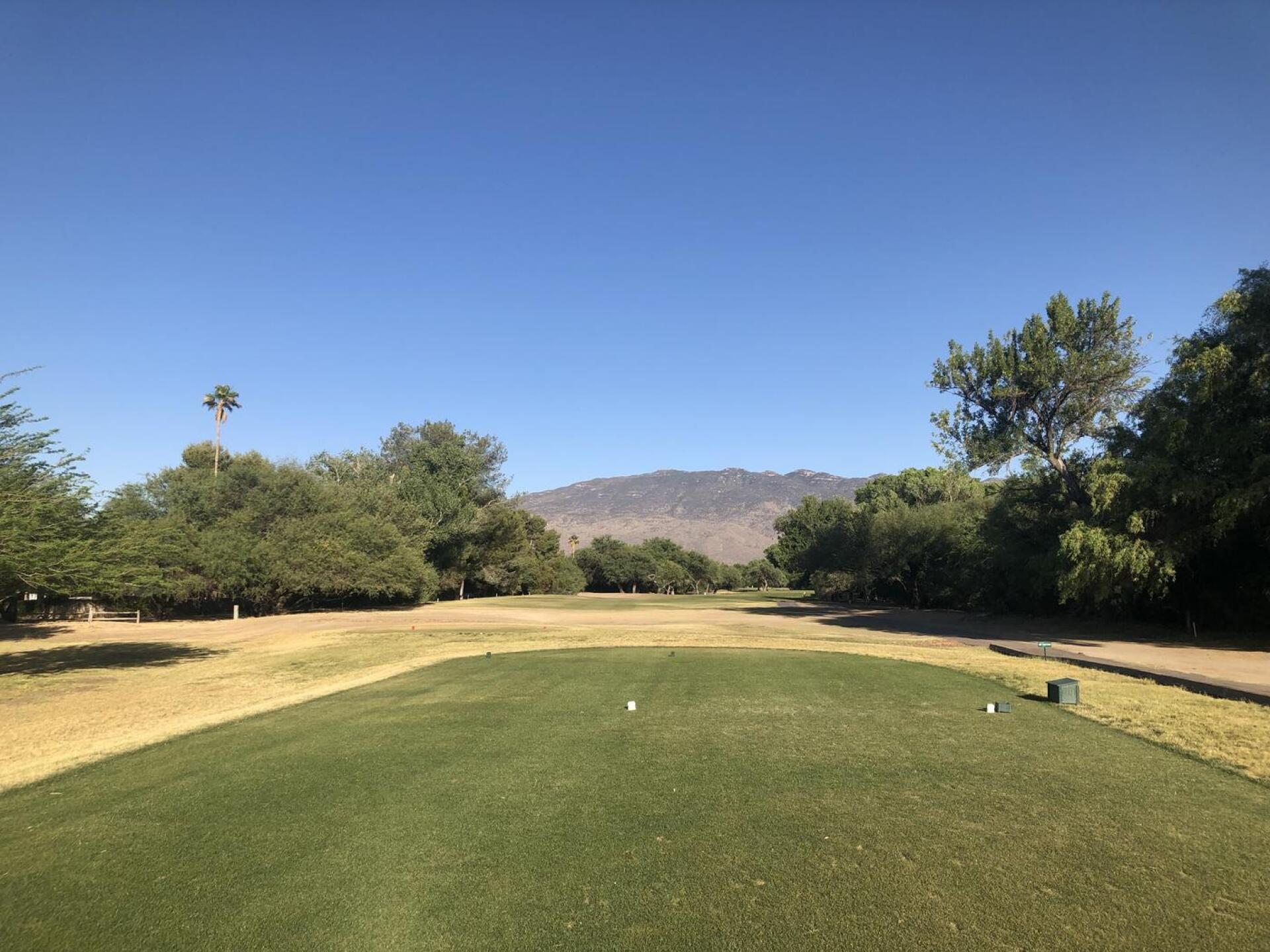 (Photo submitted by hmPO8vhnlLdu4KfR0WSD on 05/28/2025)