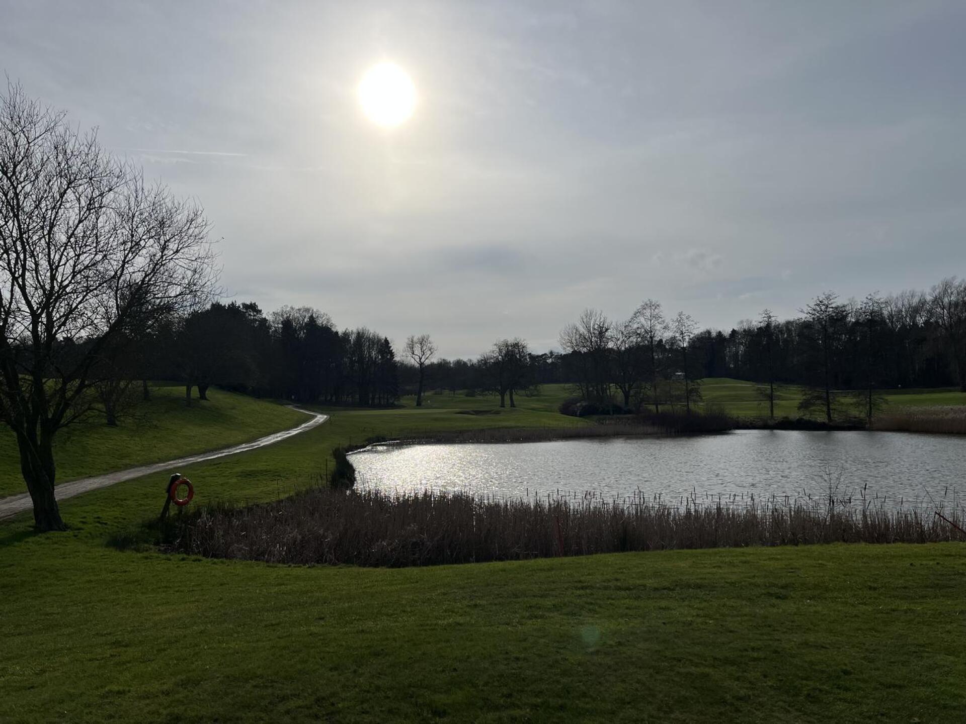 (Photo submitted by u314165465295 on 02/22/2025)