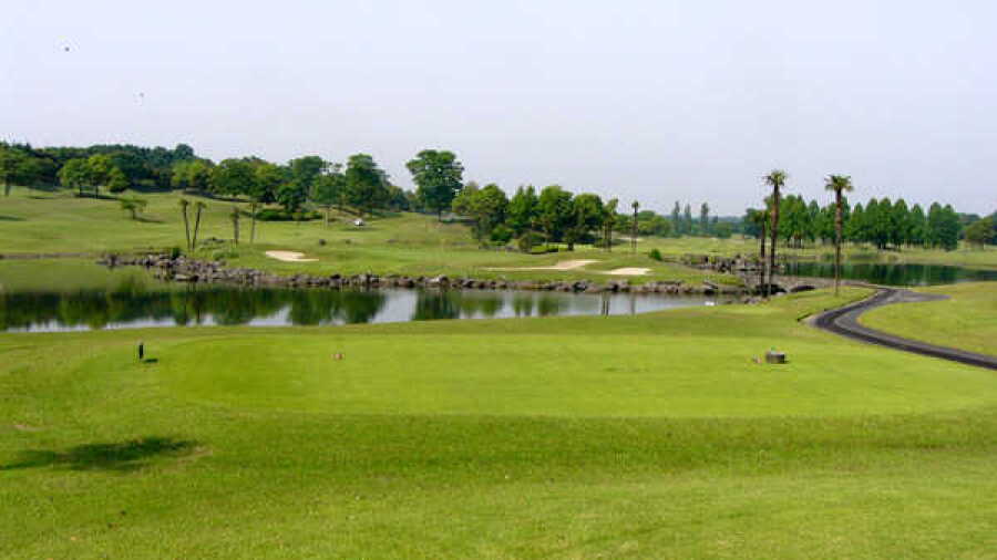 G7 CC: #11