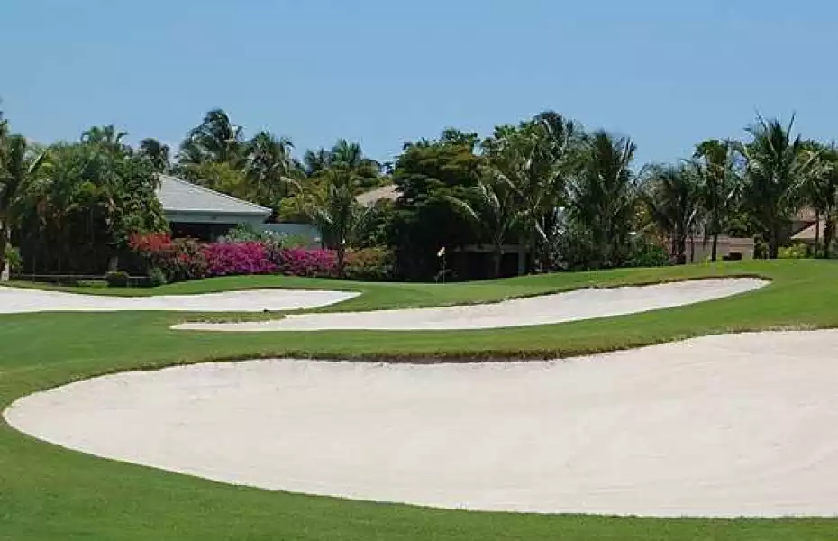 Polo Club - Equestrian: #5