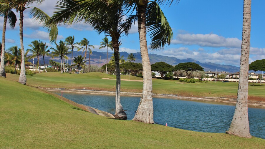 Hawaii Prince Golf Club - trees