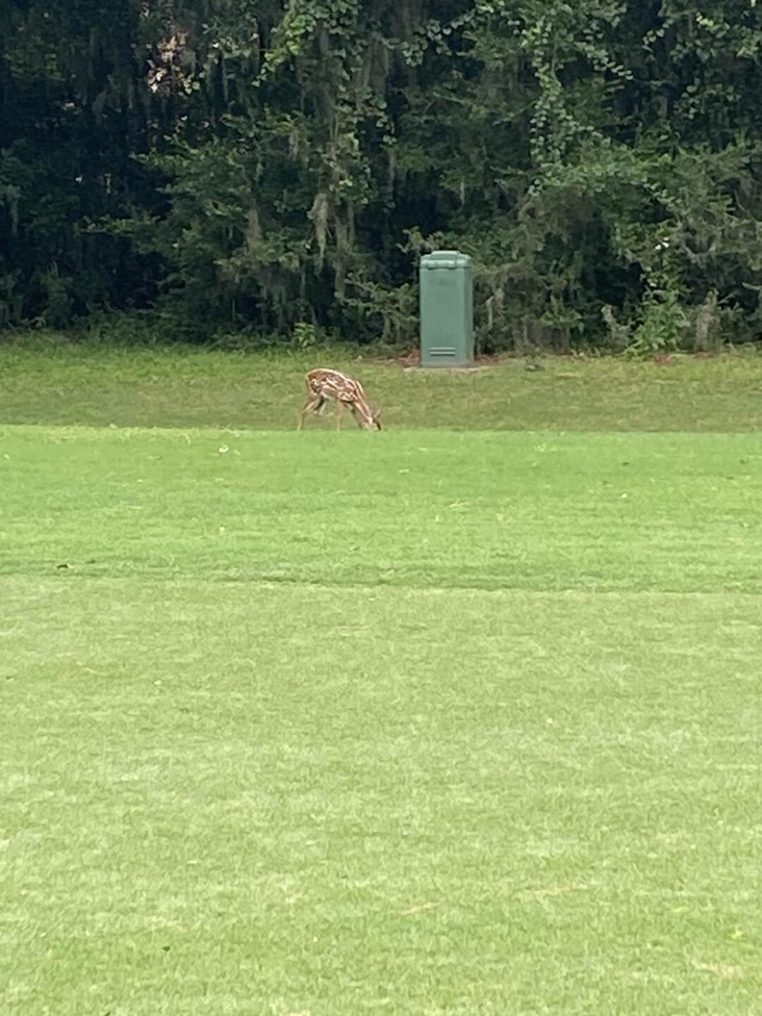 (Photo submitted by u314163554771 on 07/31/2023)