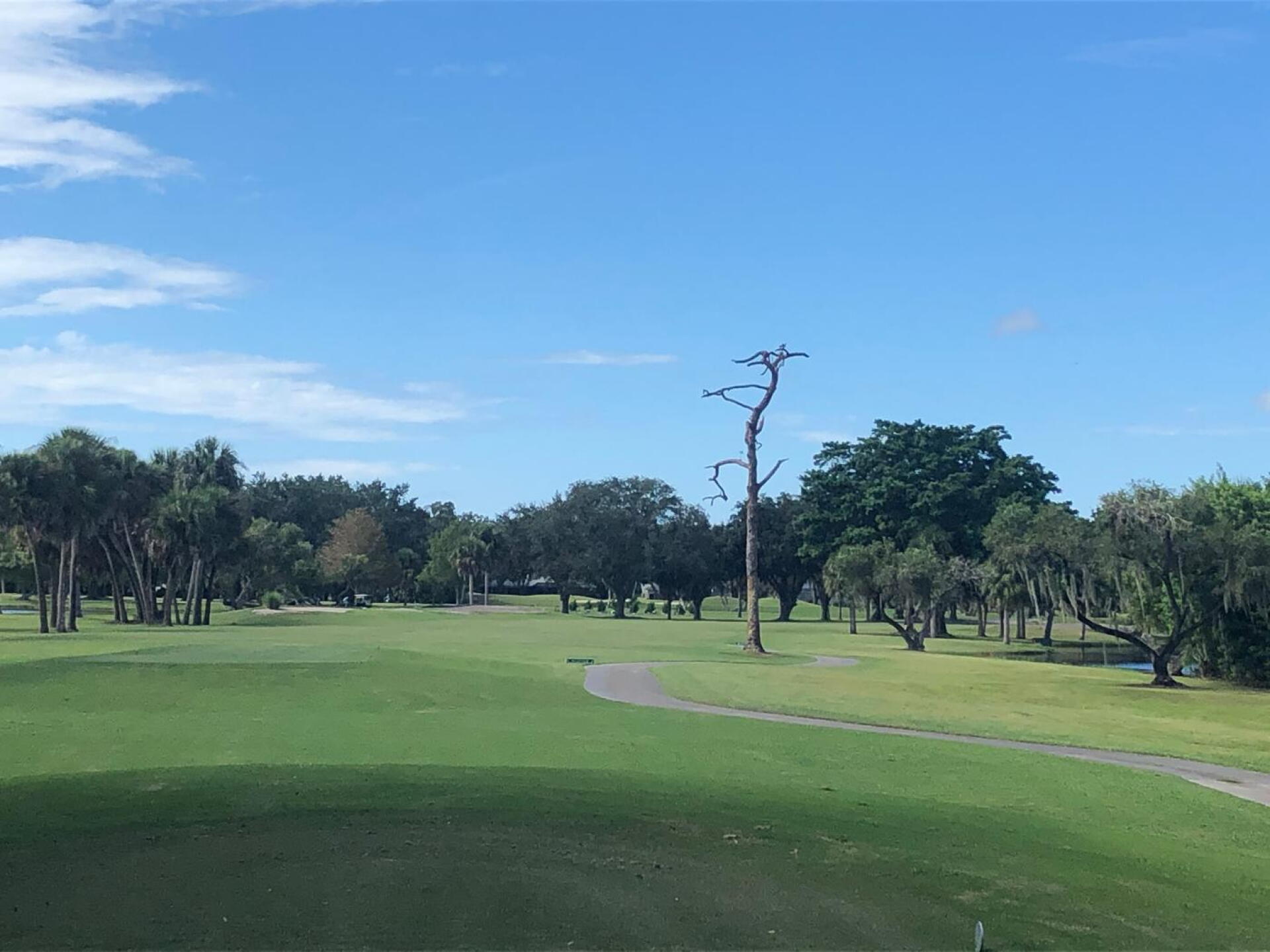 #15 - Par-4 (Photo submitted by BryanTweed16 on 09/30/2020)