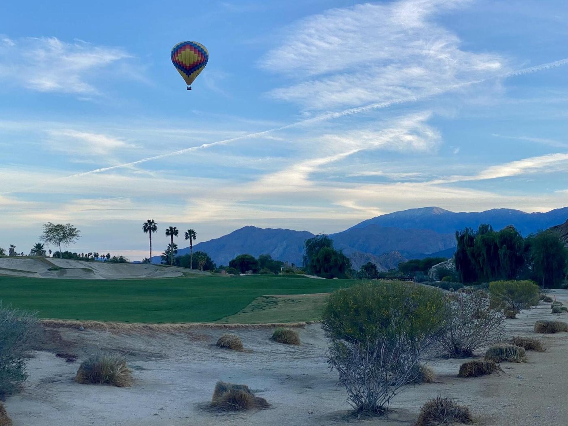 (Photo submitted by u000001789921 on 02/24/2026)