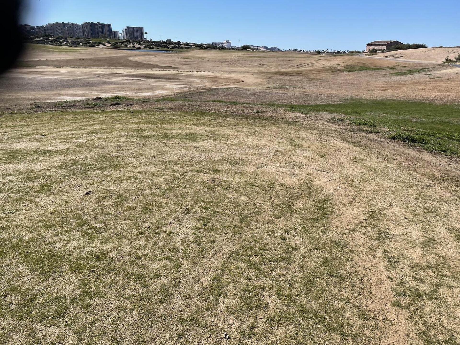 (Photo submitted by uncletio on 02/16/2024)