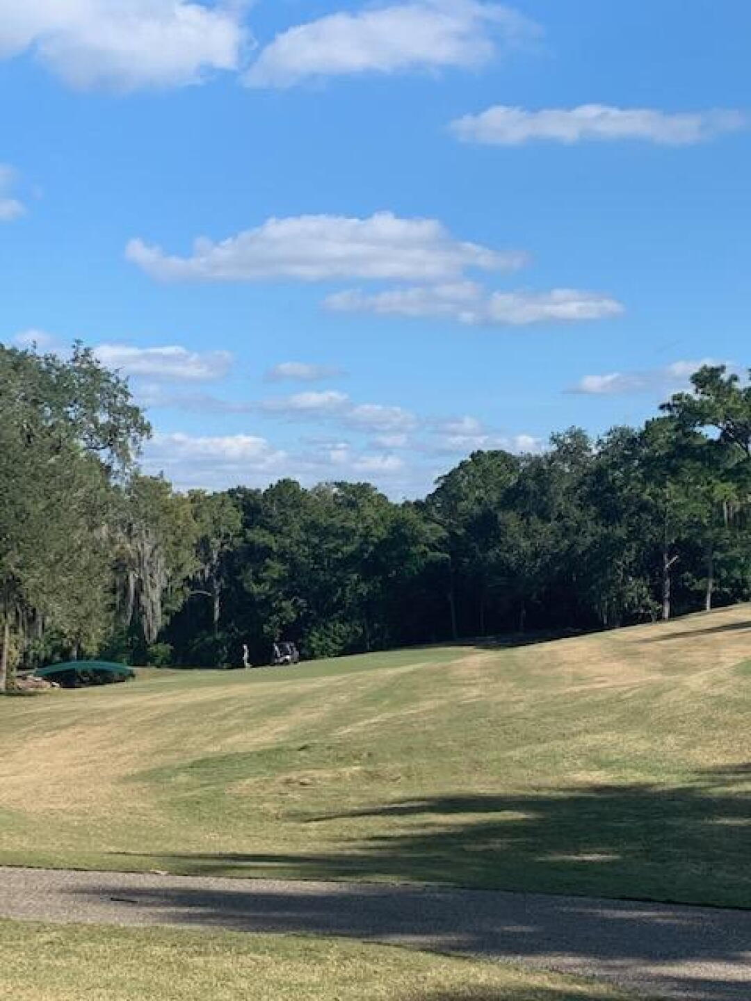 Who knew Florida had such hills (Photo submitted by rabeiro1972 on 11/22/2019)