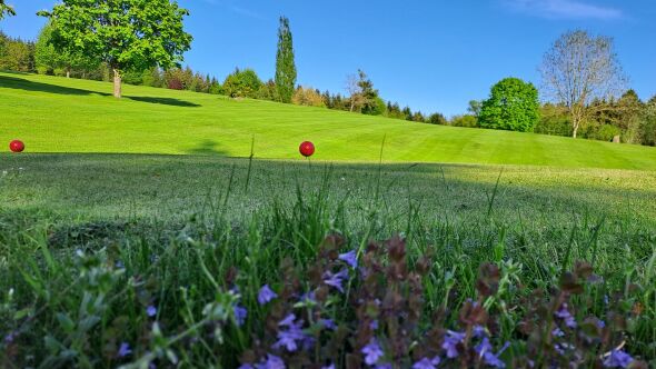 Ueber den Dachern von Passau GC