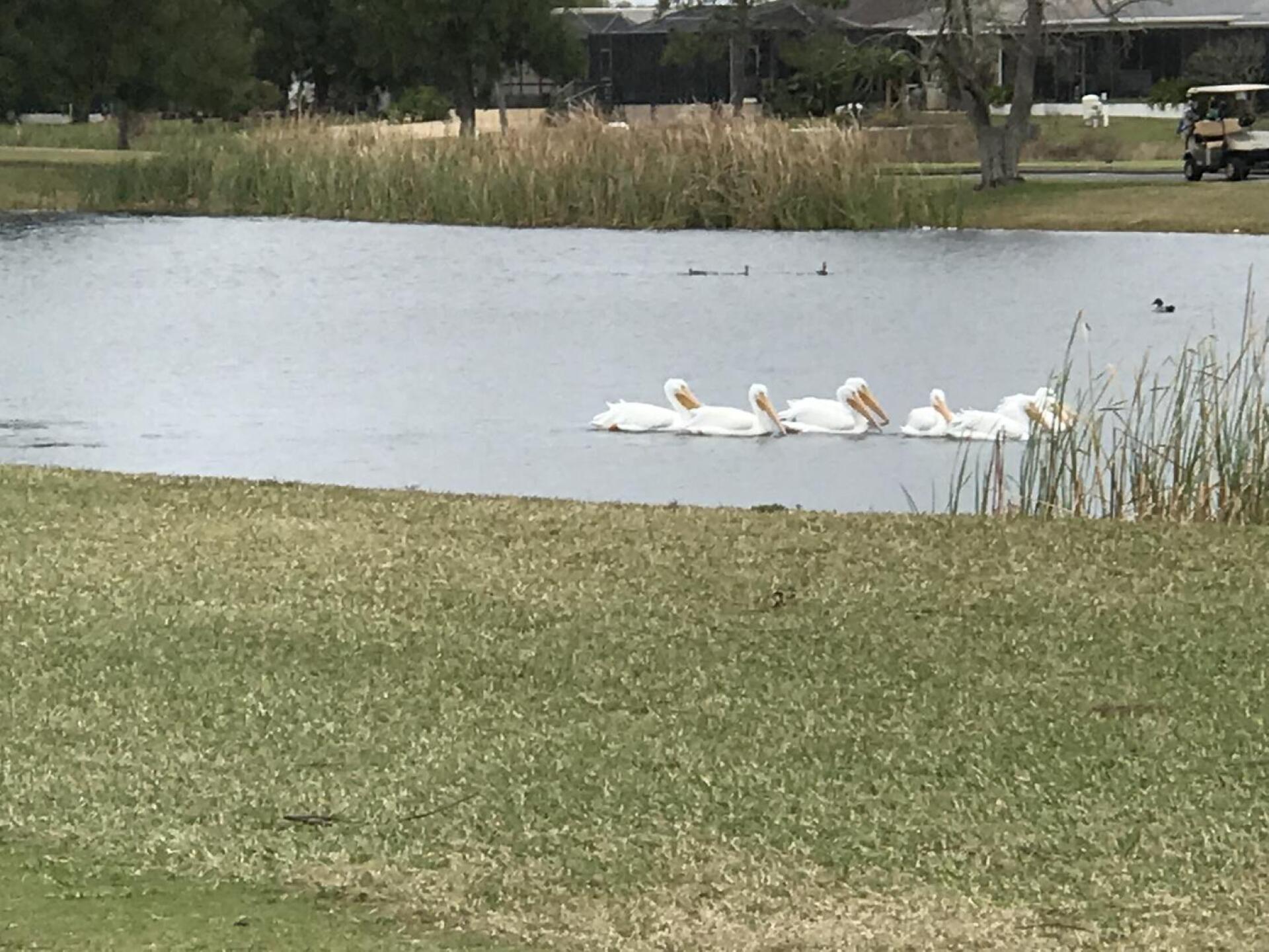 Reservoir by 3 hole (Photo submitted by andyhertzfeld on 07/30/2021)