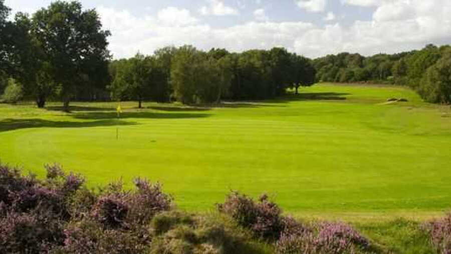 Piltdown GC: #3