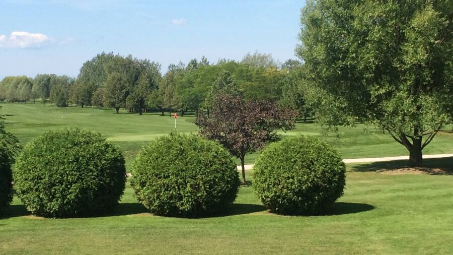 Exeter GC