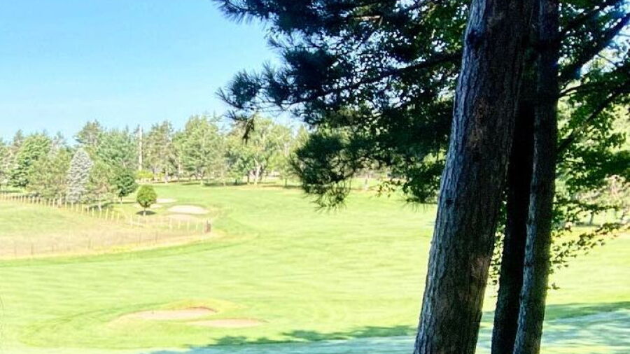 Thunder Mountain Ranch - Buckaroo Greens